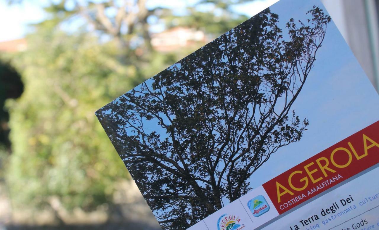 Gli Artisti - Ospitalità Diffusa Agerola Extérieur photo